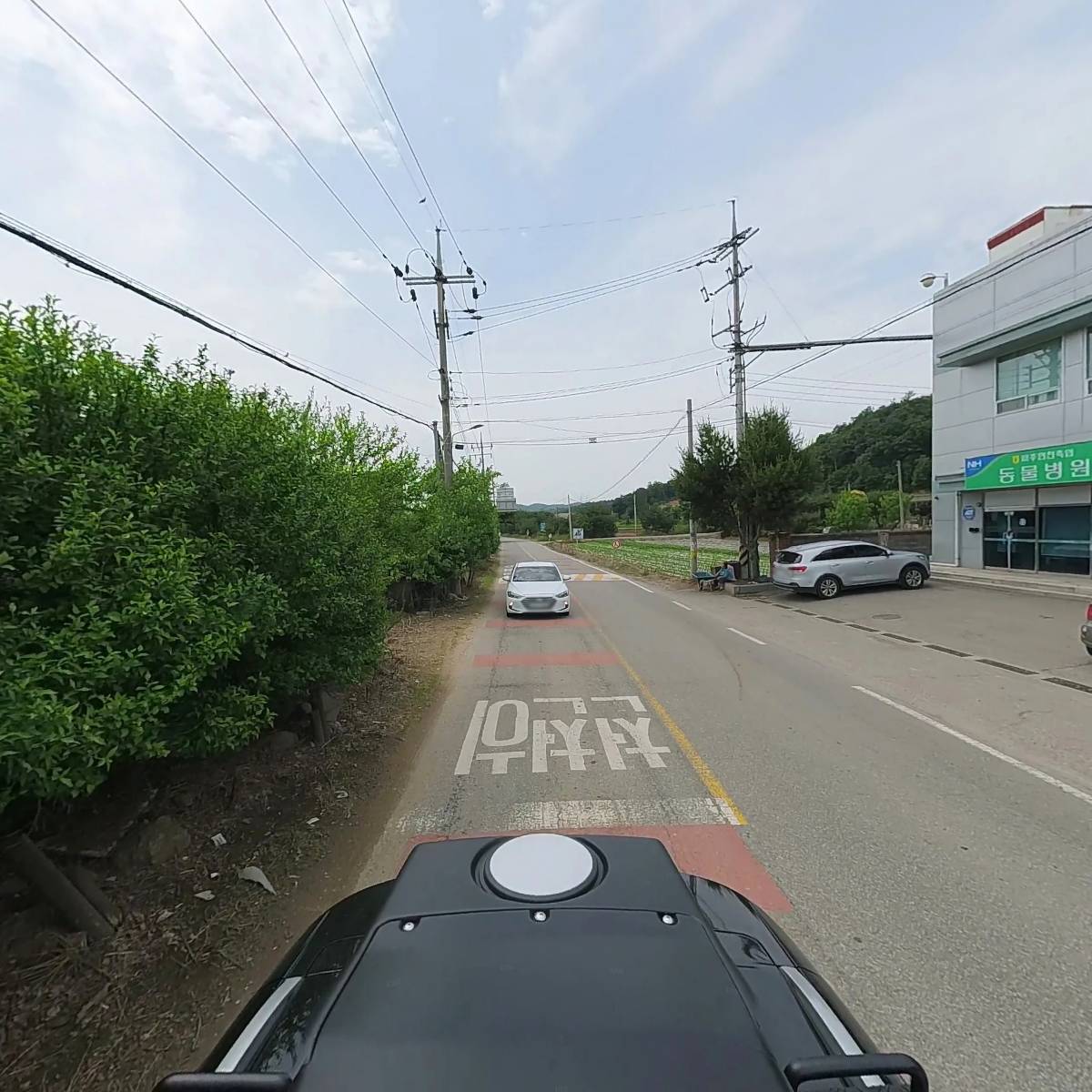 김희원동물병원_2