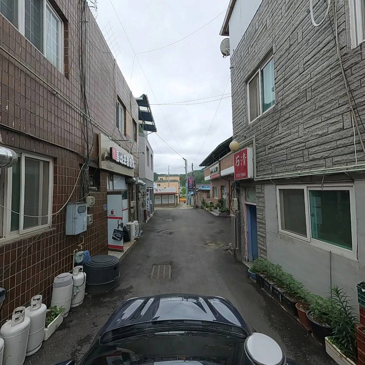 청송군파크골프협회_4