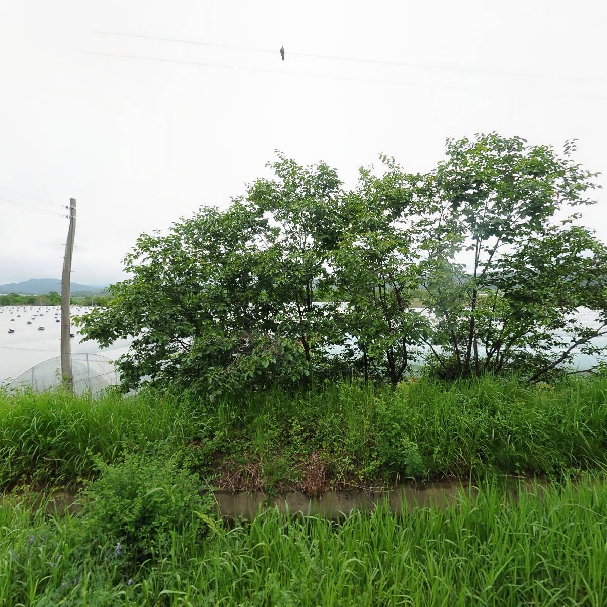 (주)신광하이텍_3