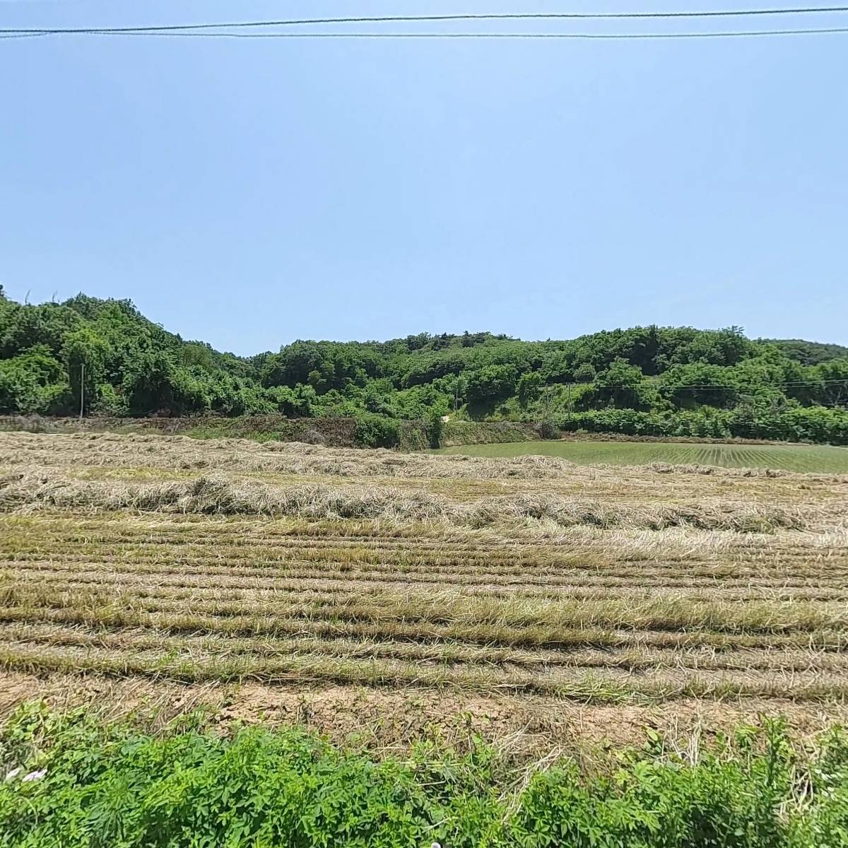 하나농장_3