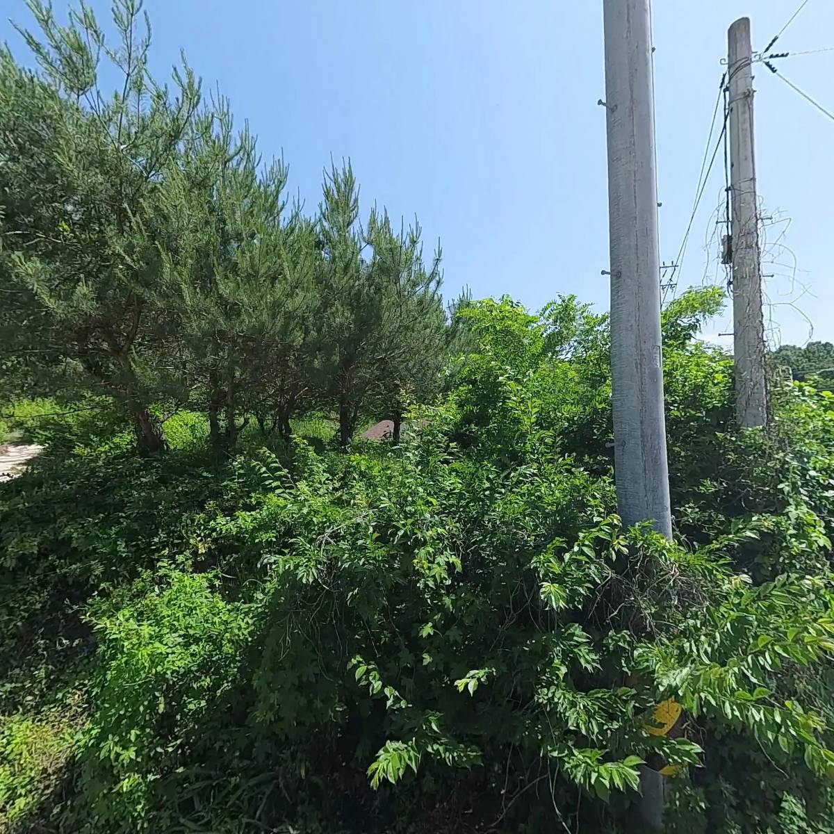 상산김씨내원령공파직산문중