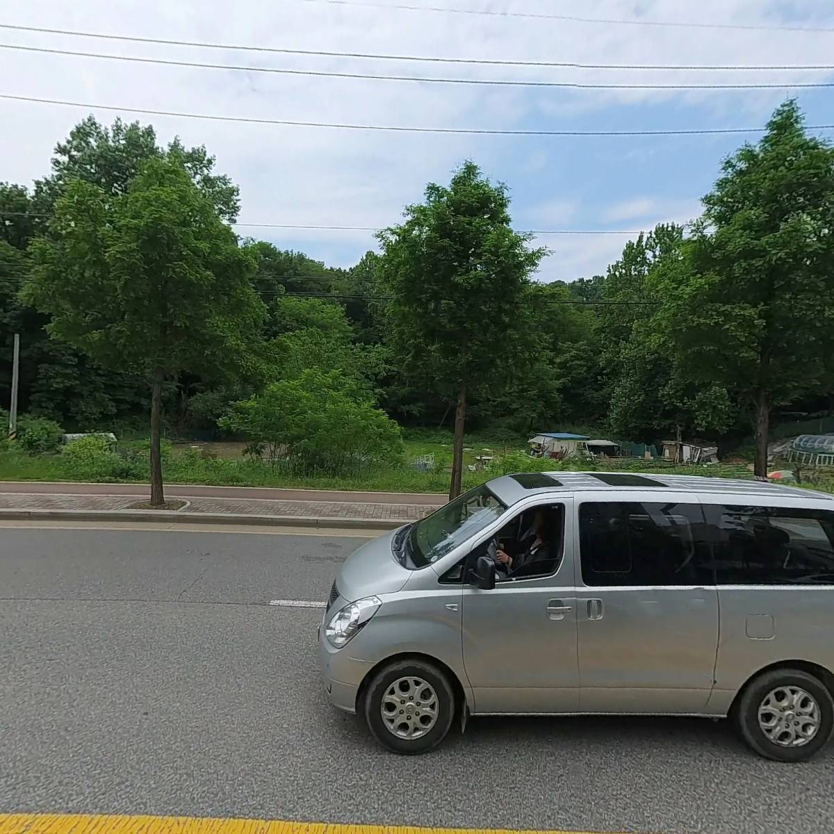 나의나무_3
