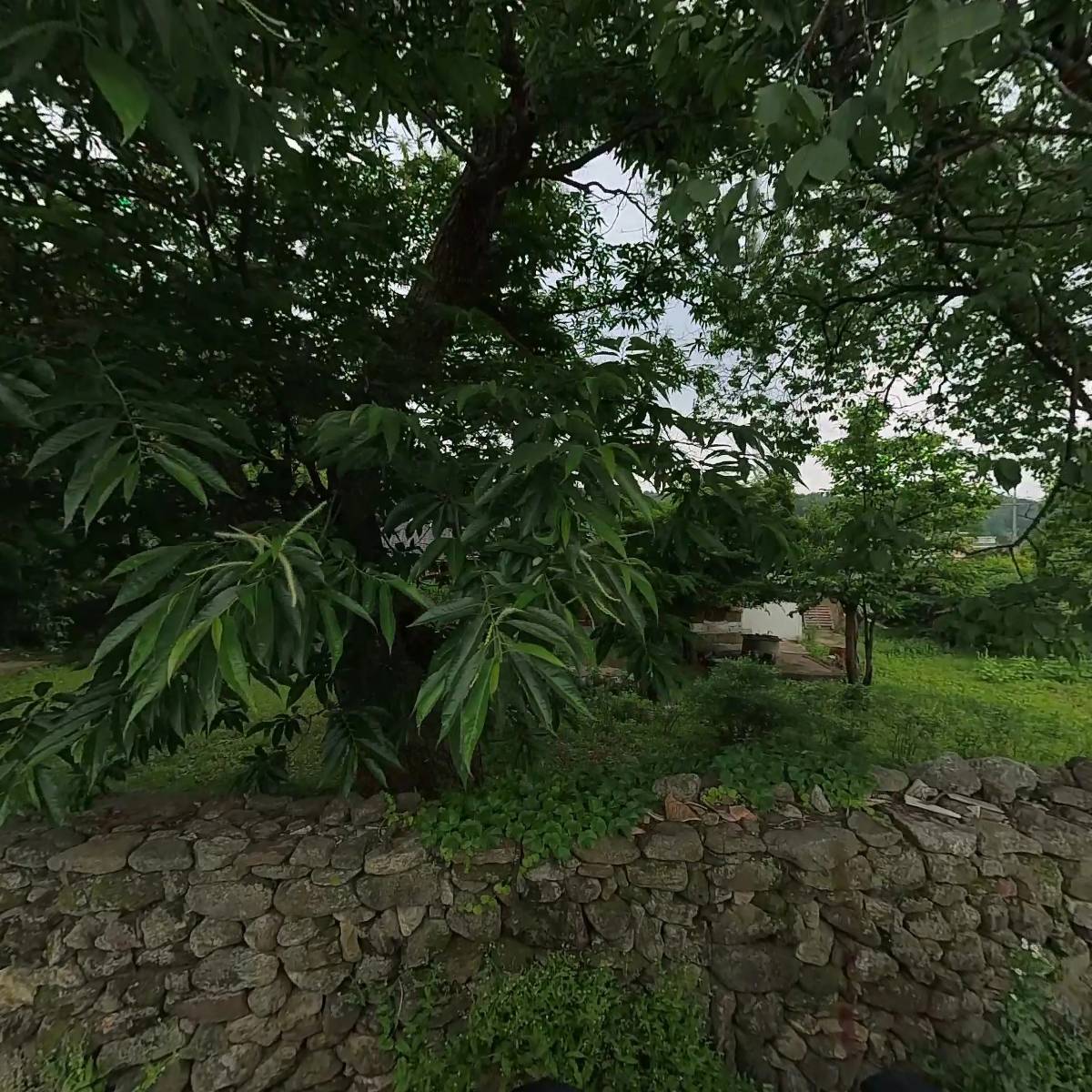 갈월마당_3