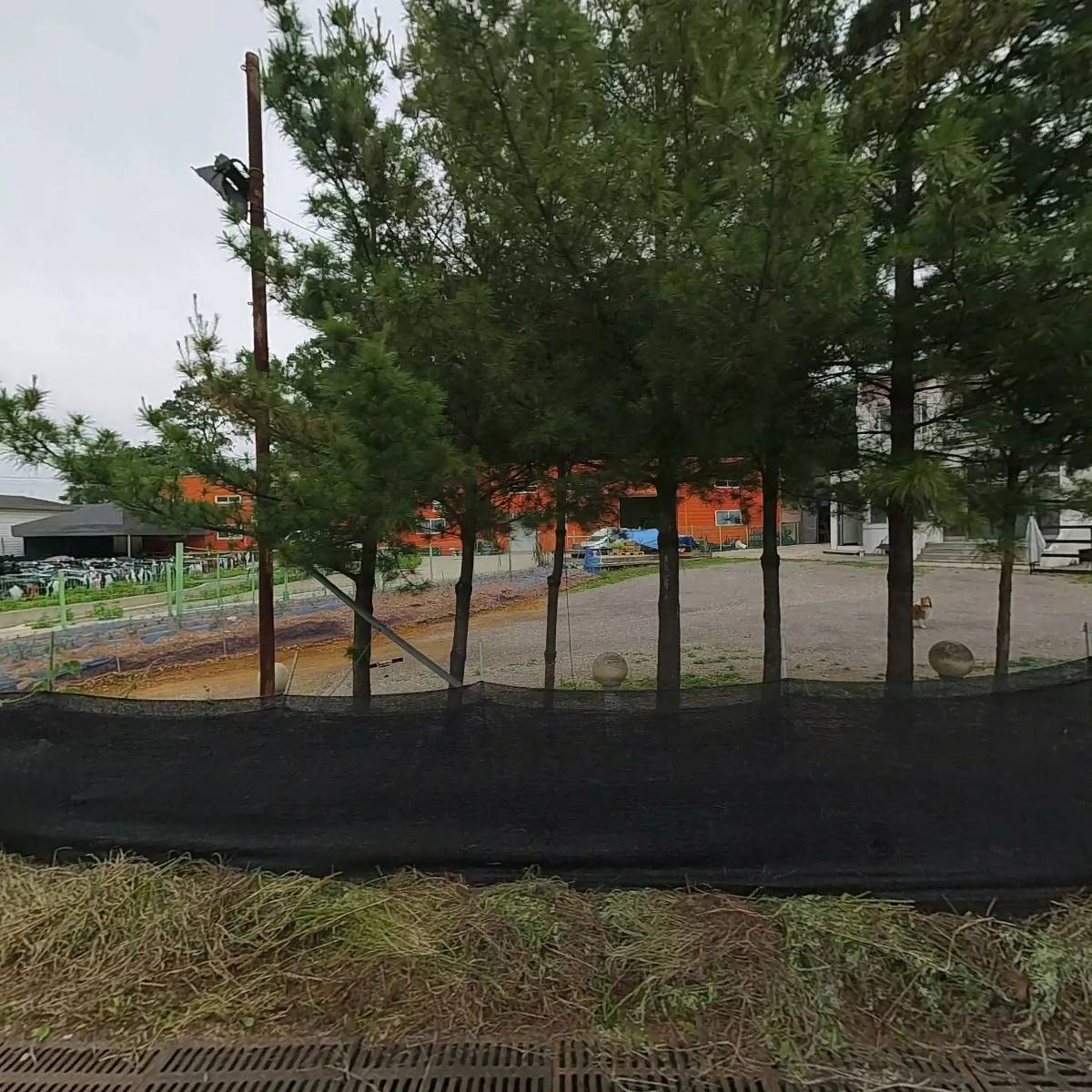 사나드트레이딩 주식회사