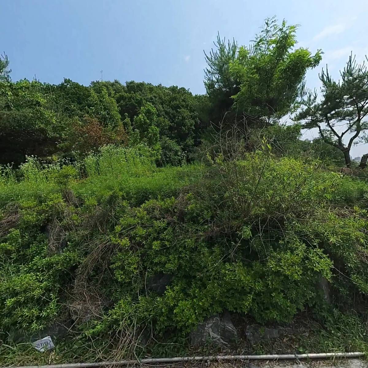 주식회사 페츠콤