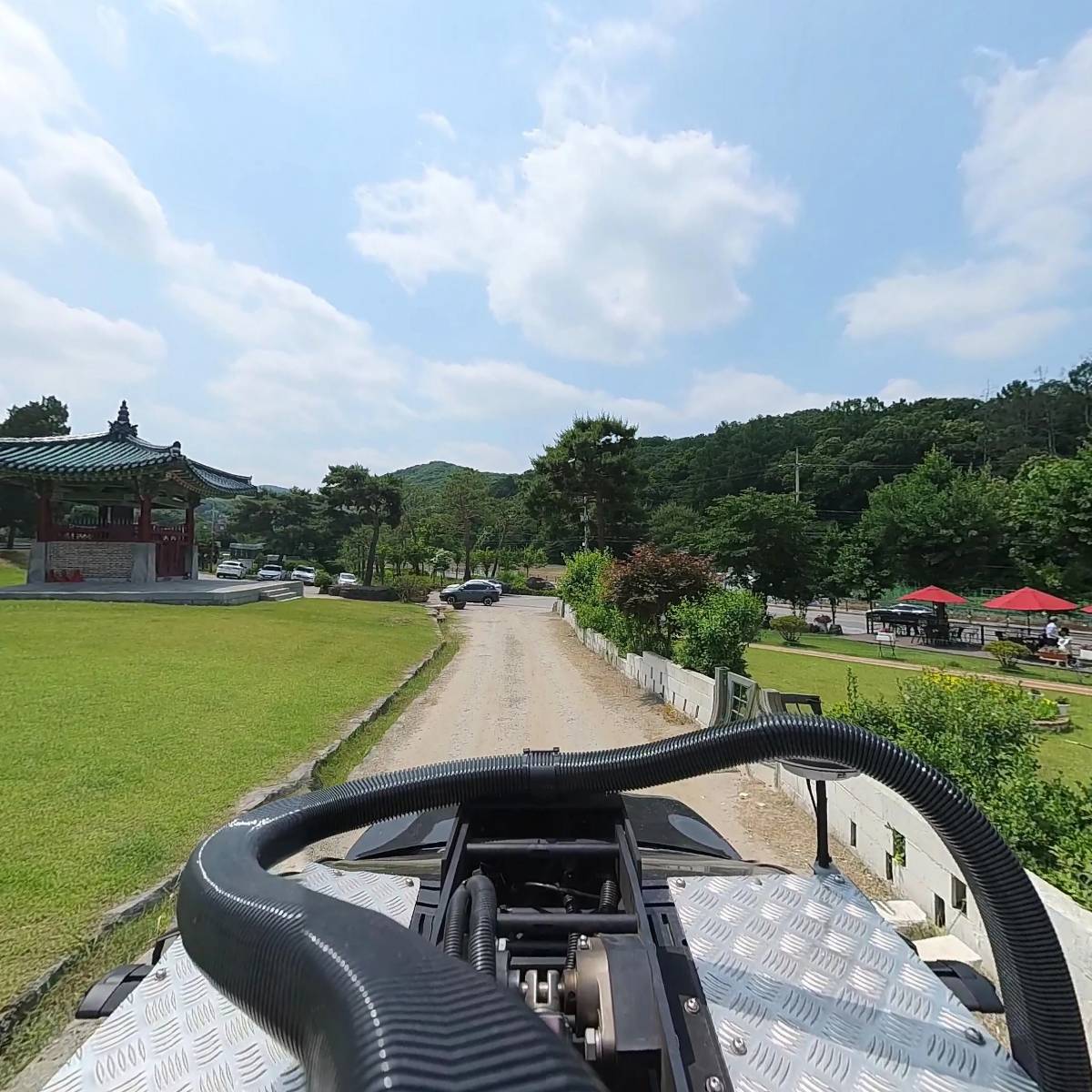 앨리스포레_4
