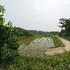 풍양면청운리구룡동노인회
