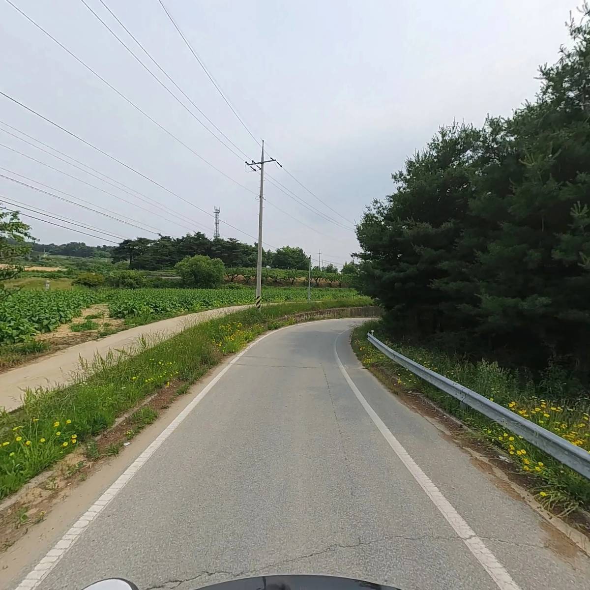 영농조합법인 소화농장_2