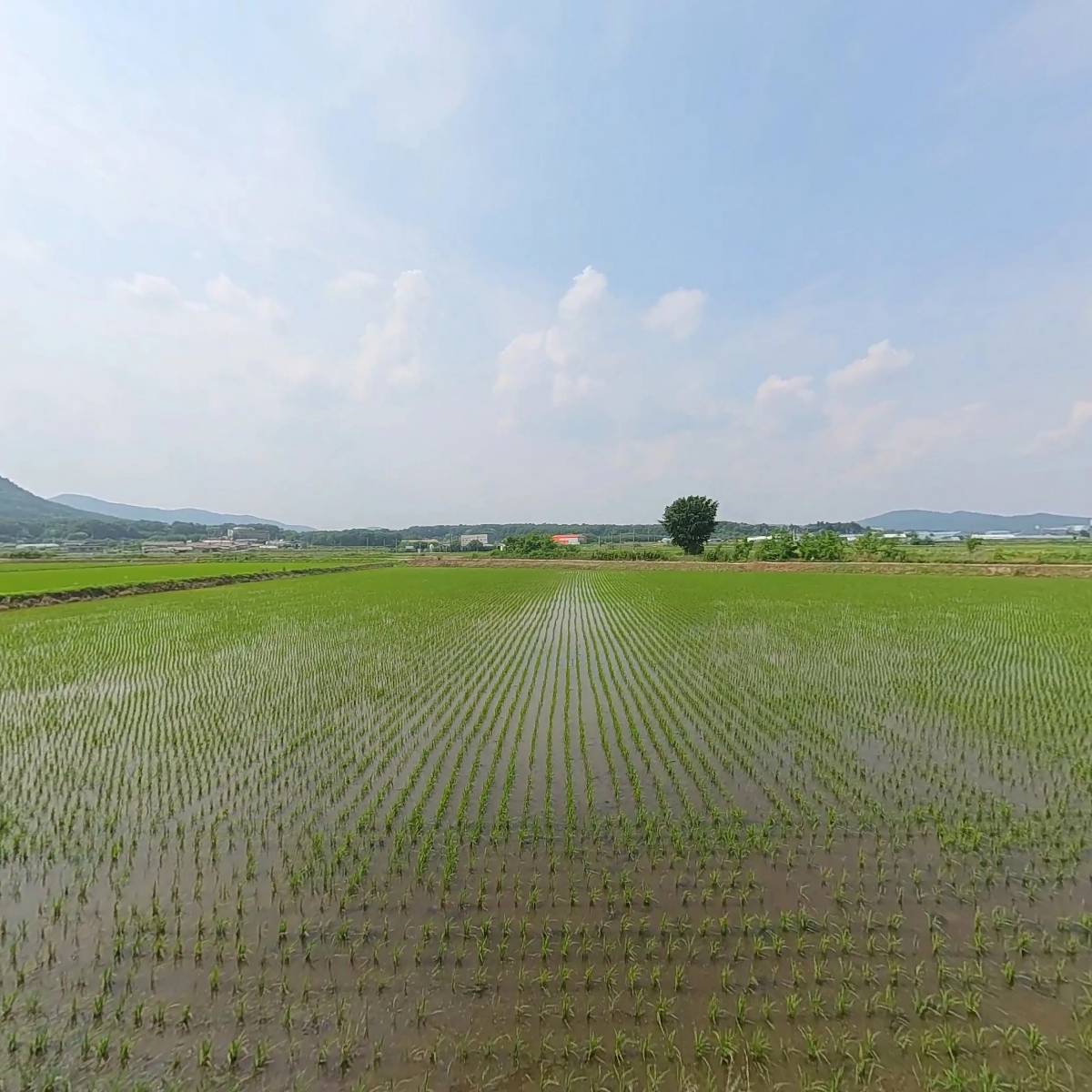 동우아이비씨코리아(주)용인지점_3