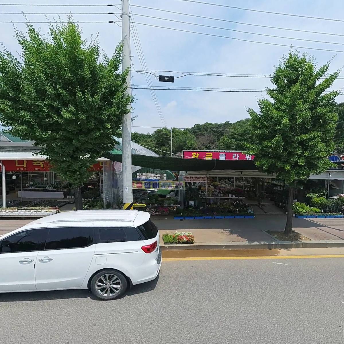 새안산화원