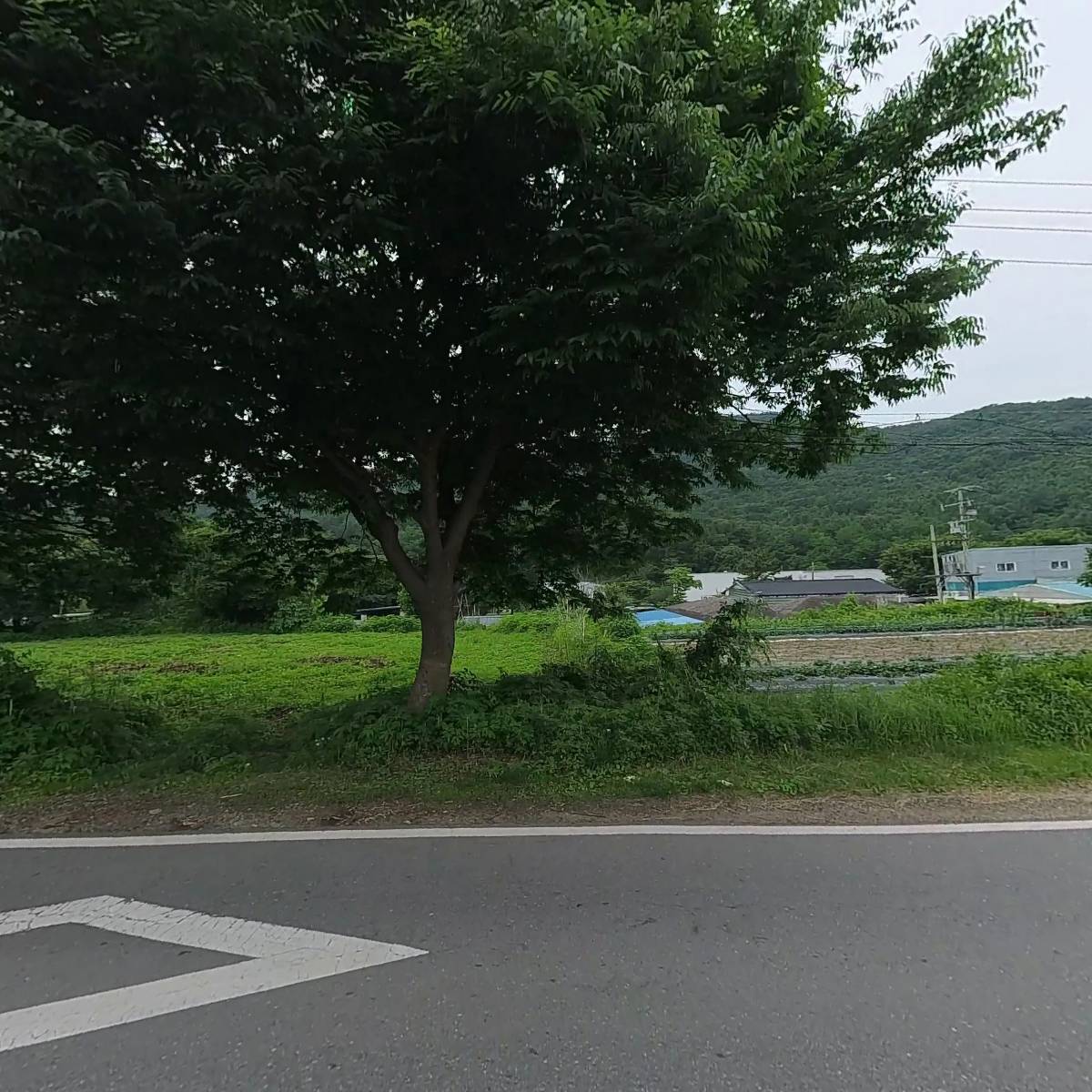 주식회사 다움_3