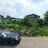 박승광해물칼국수 파주점_3