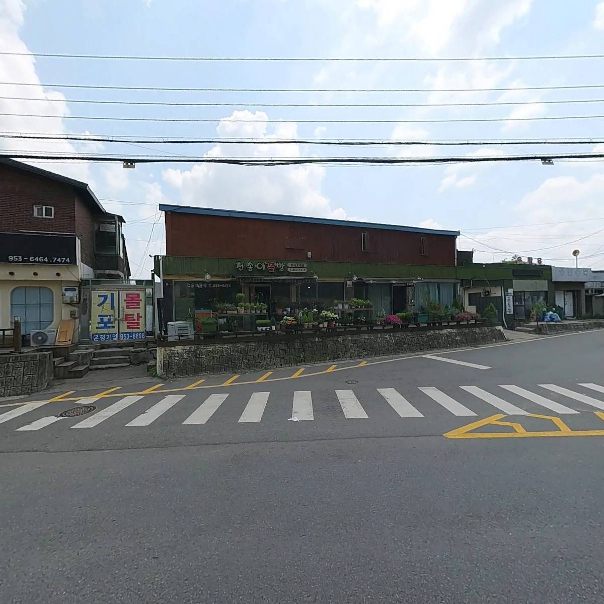 주식회사르벨라