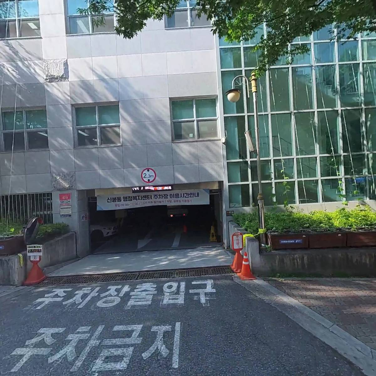 용인시신봉동체육회