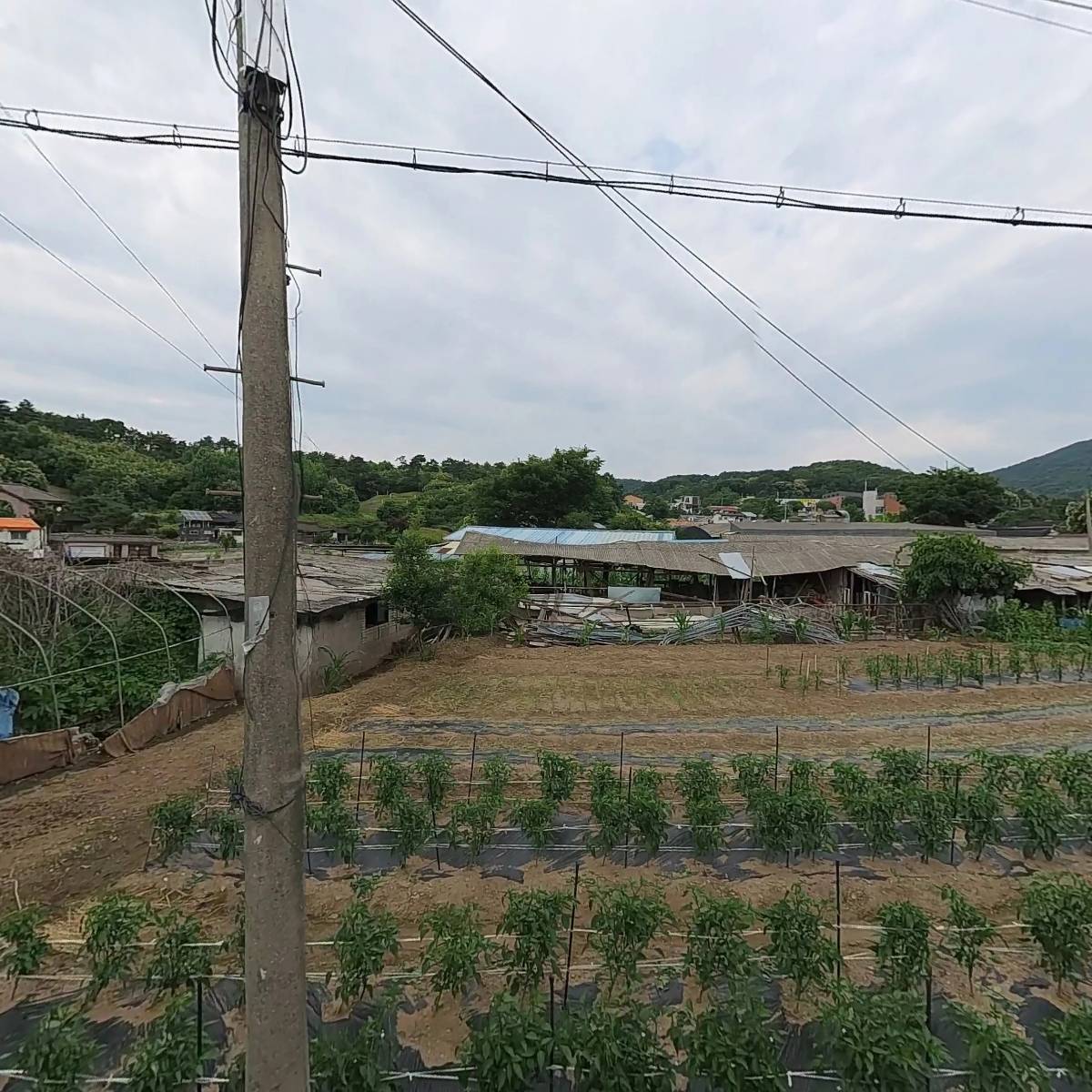 통합시민사회단체 가온 달봉이네 보호소