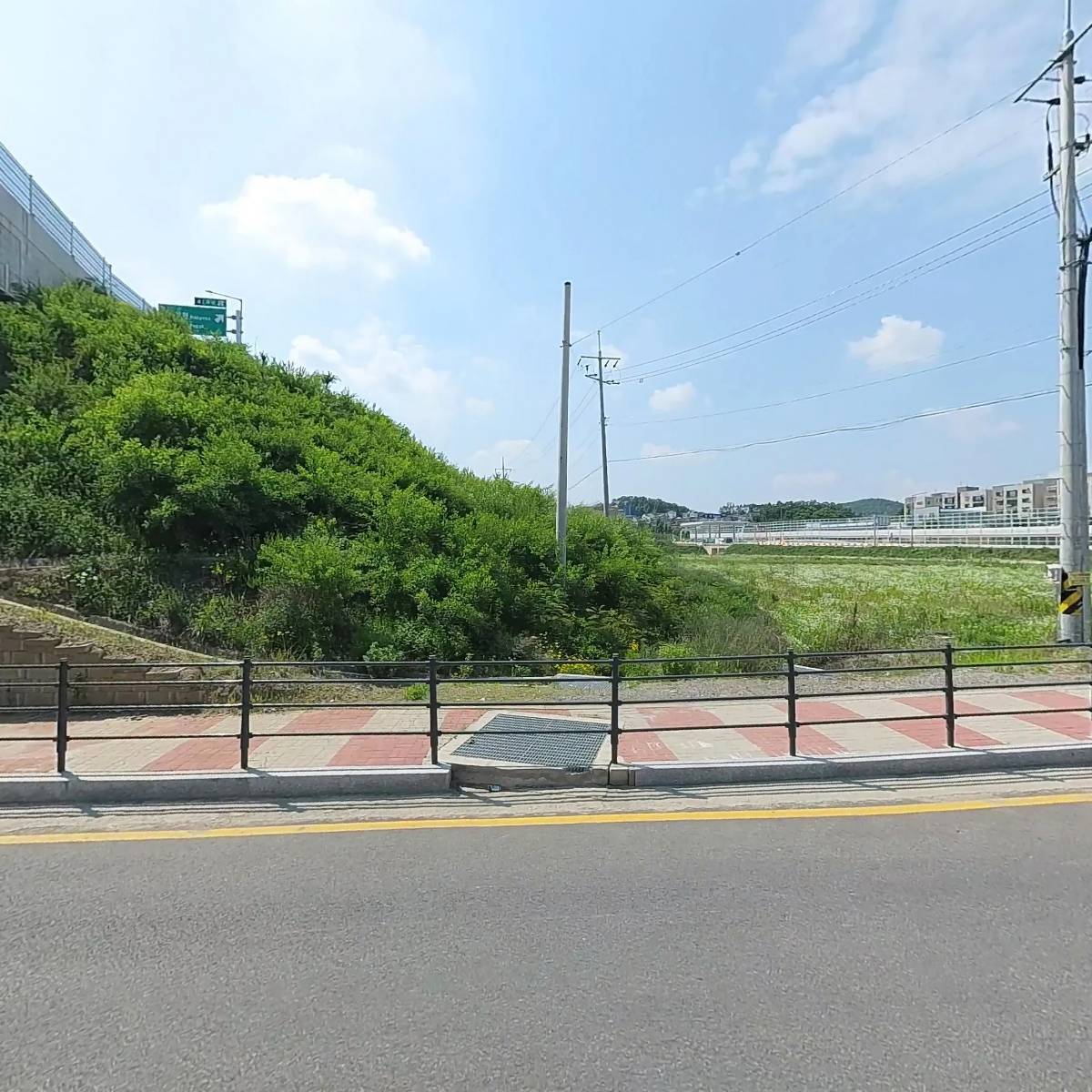 금선가설