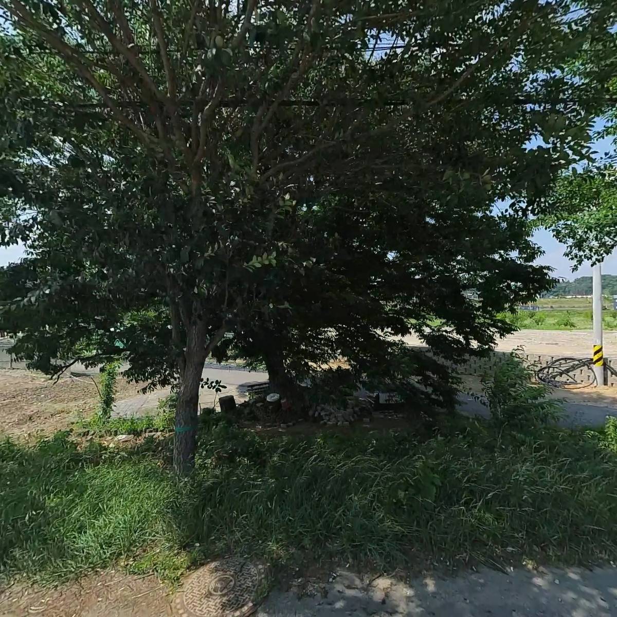 주식회사 바스미디아