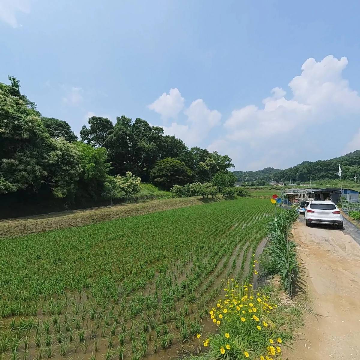 주식회사 아이누리신선
