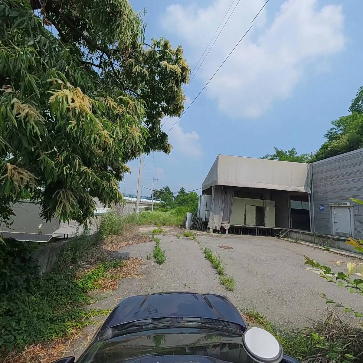 금화푸드_4