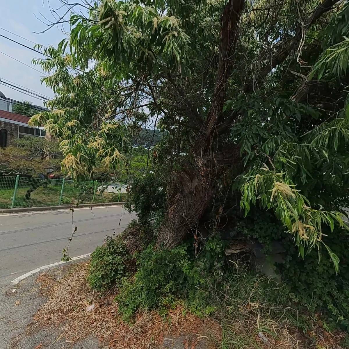 금화푸드_3