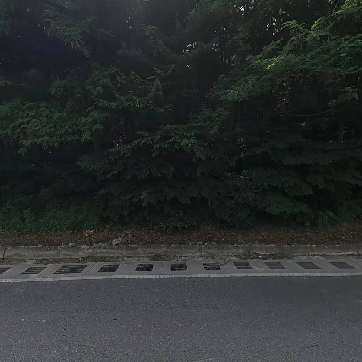 코러패드코리아(주)_3