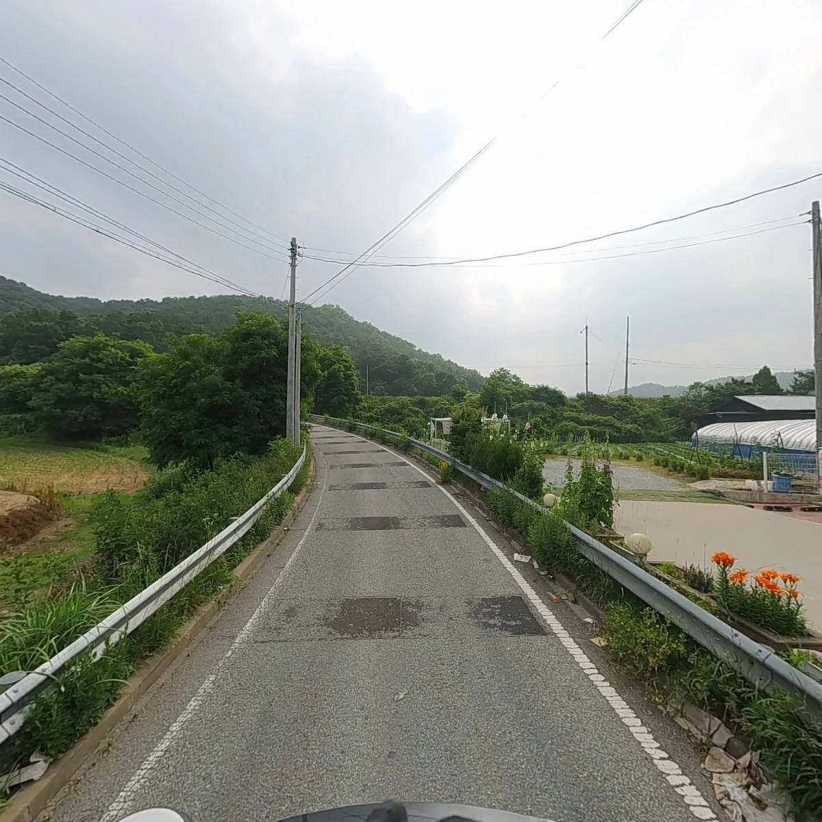 리노_2