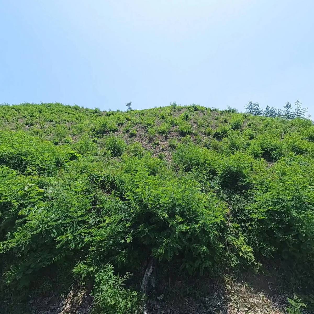 어화둥둥_3