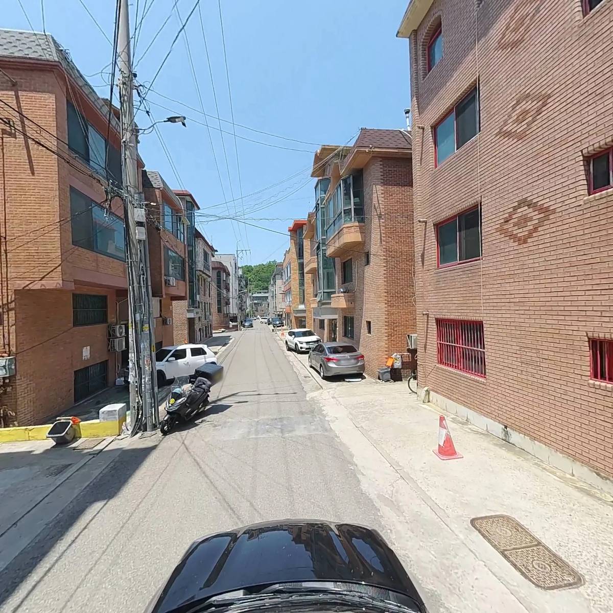 토마토_4