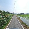 제칠일안식일예수재림교 법원리교회_2