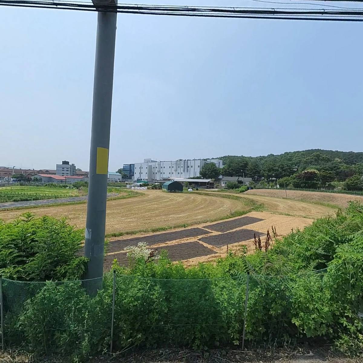 무봉리토종순대국(남사점)