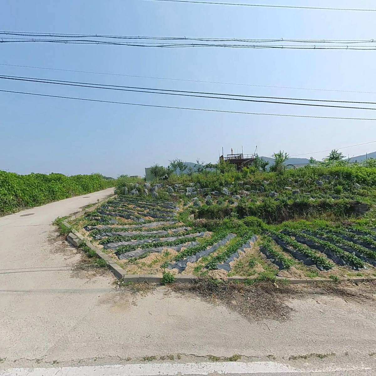 갤러리투스톤 주식회사_3