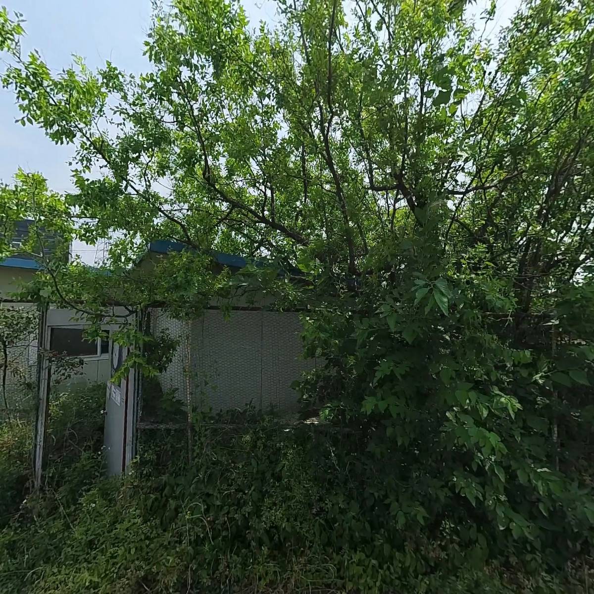 엘오토모티브_3