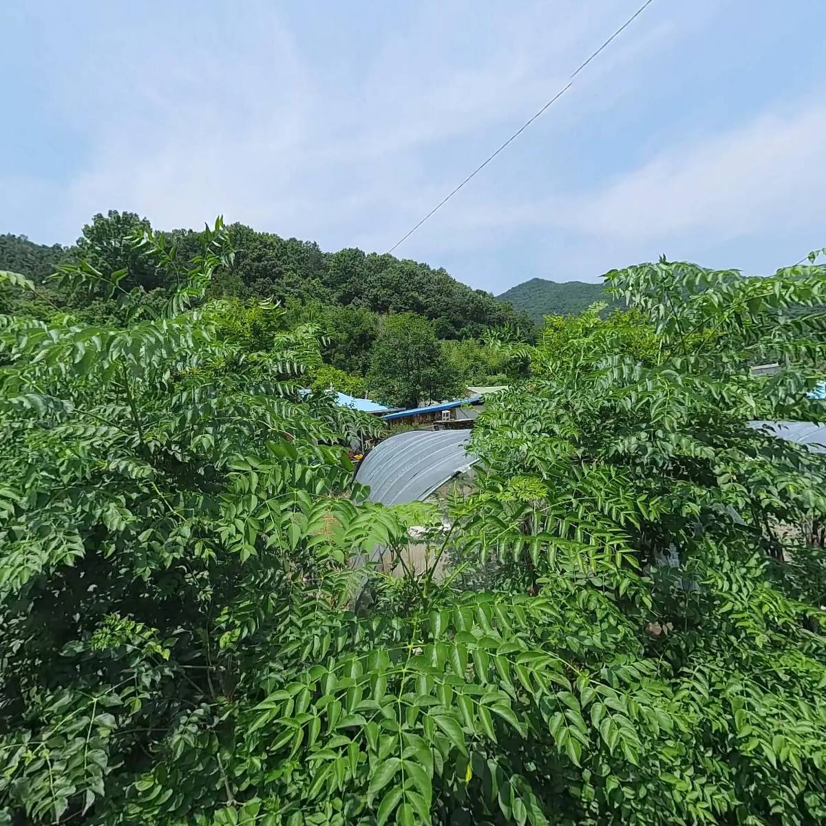 경주이씨가선대부공파종중