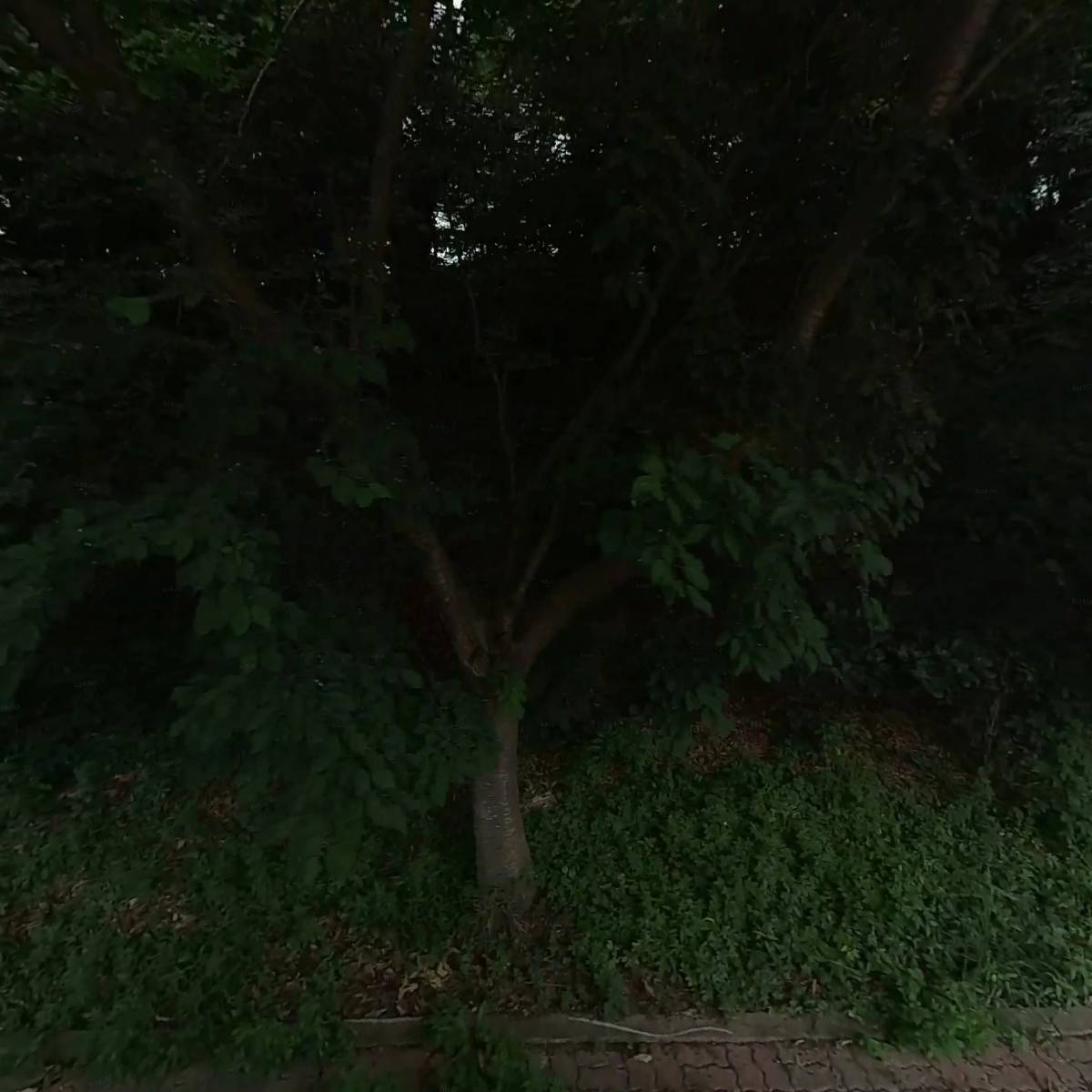 주식회사 리퀴몰리코리아