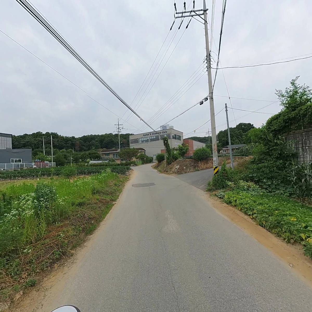 (주)디오전자_2