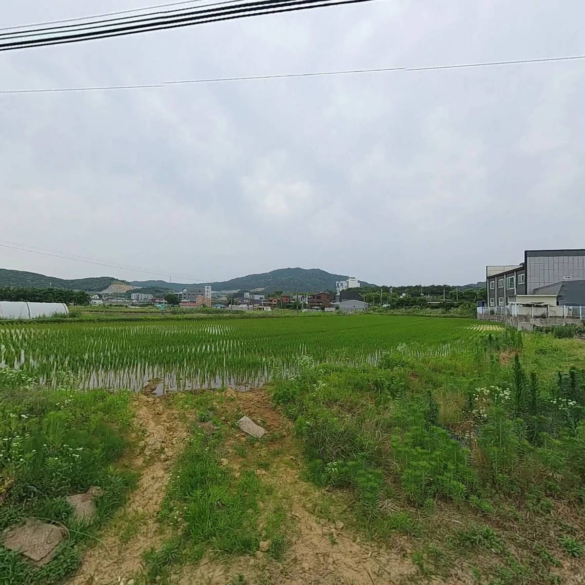 (주)디오전자