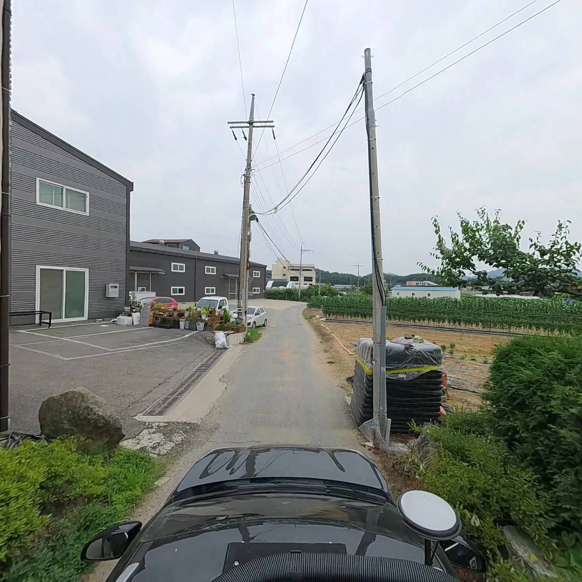 레지나샵_4