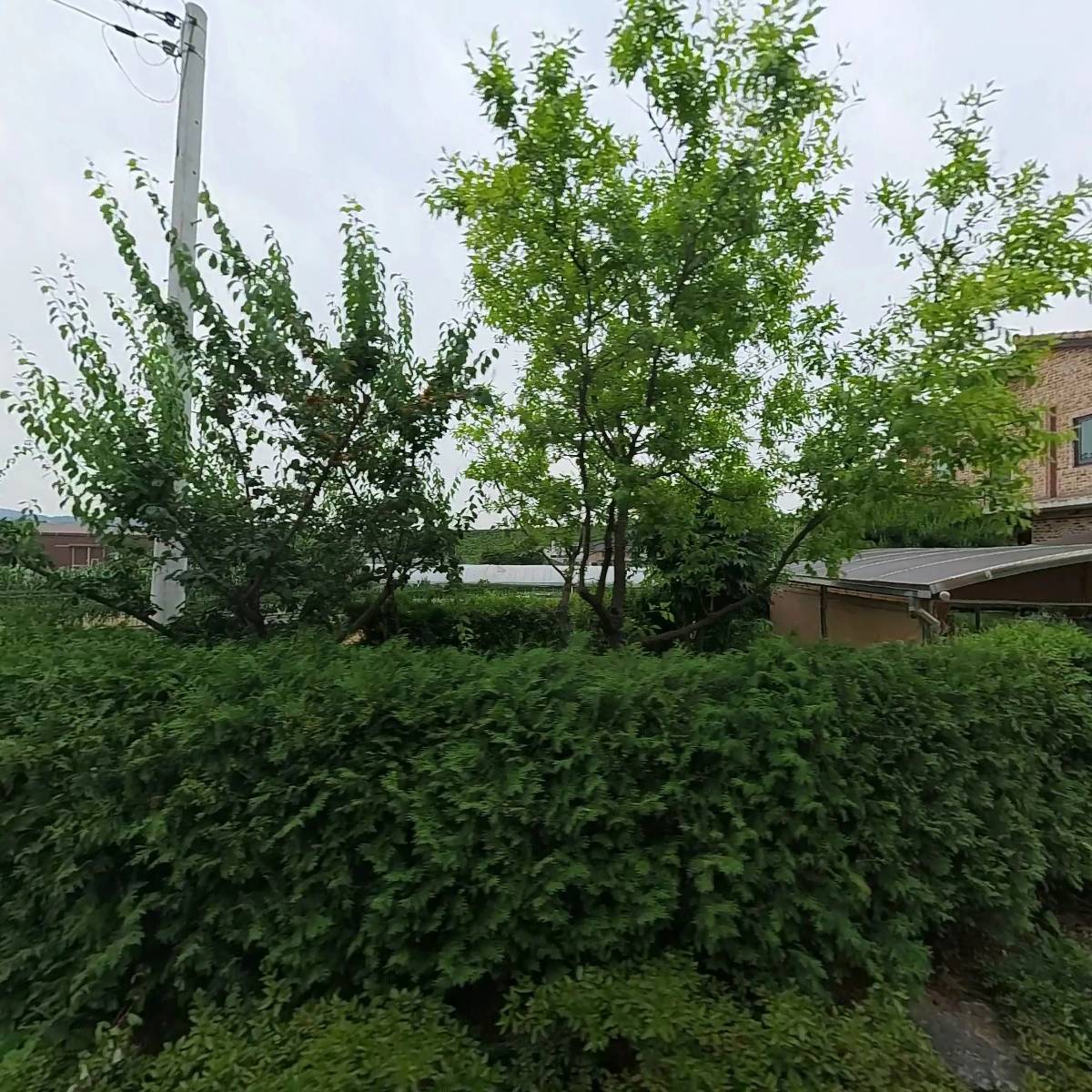 레지나샵