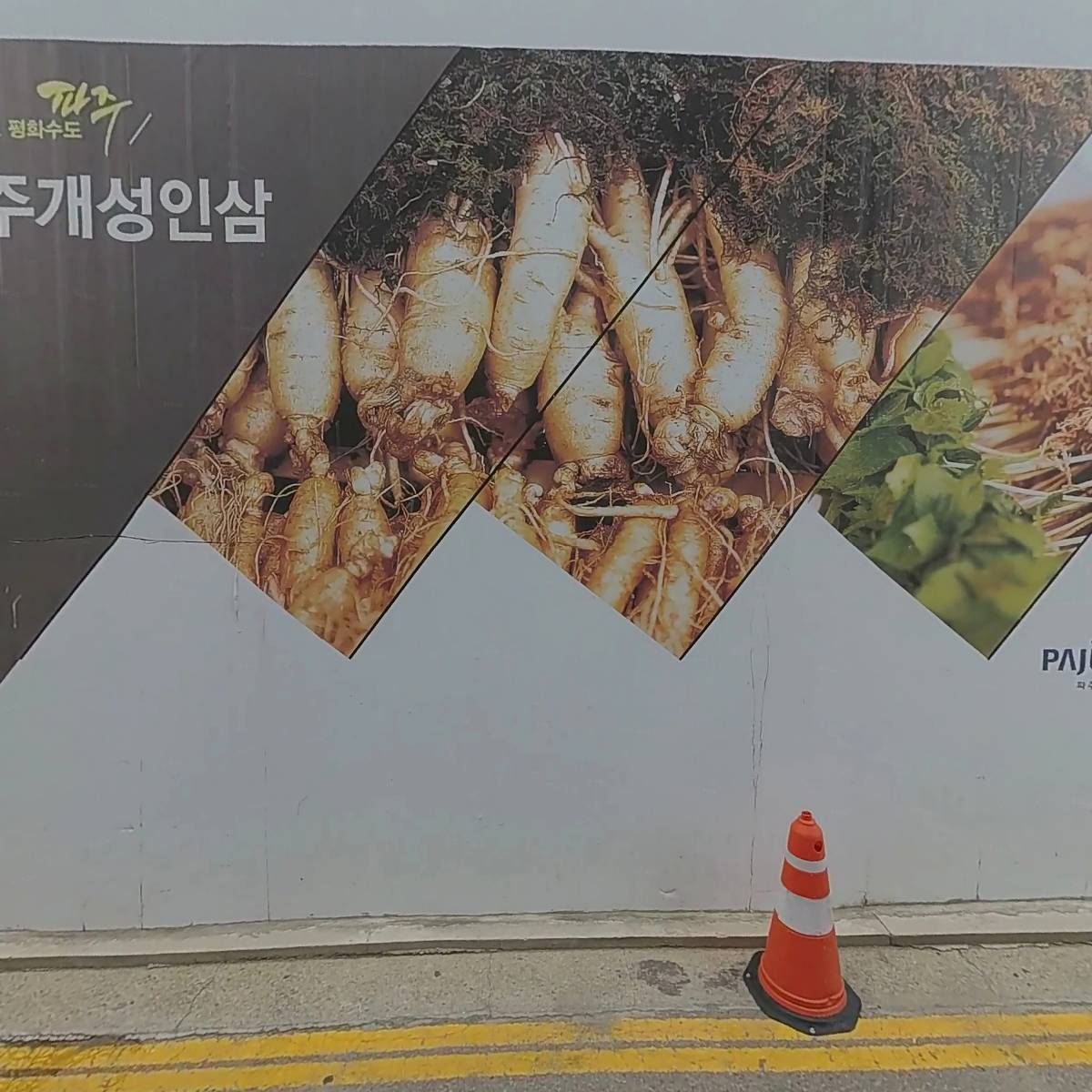 금촌농협 로컬푸드직매장