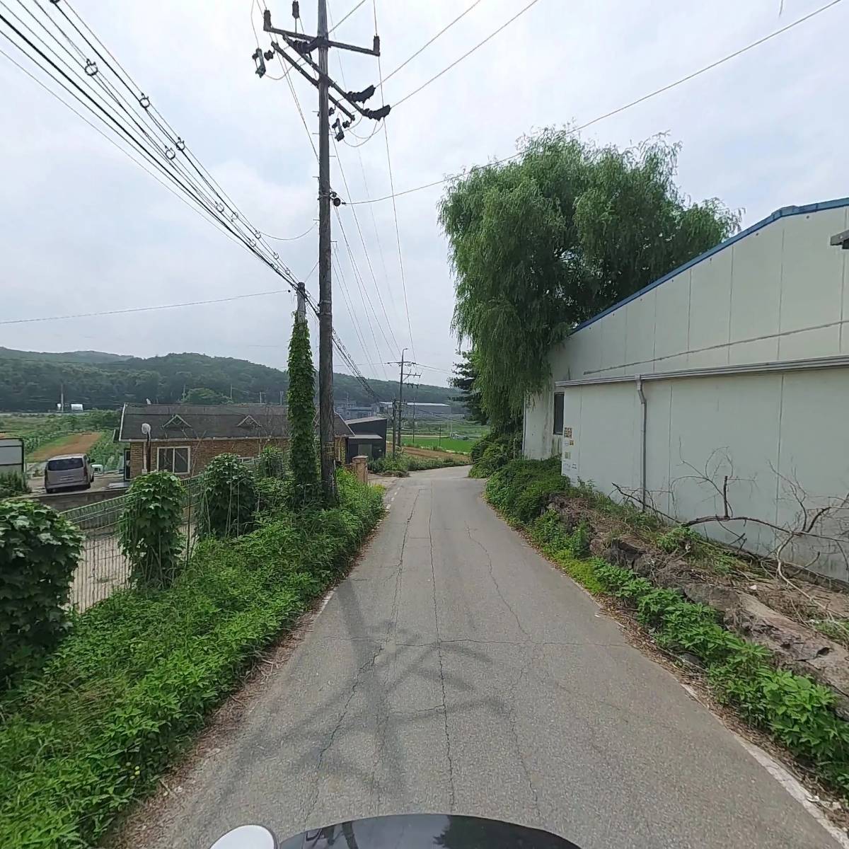 크롬베리_2