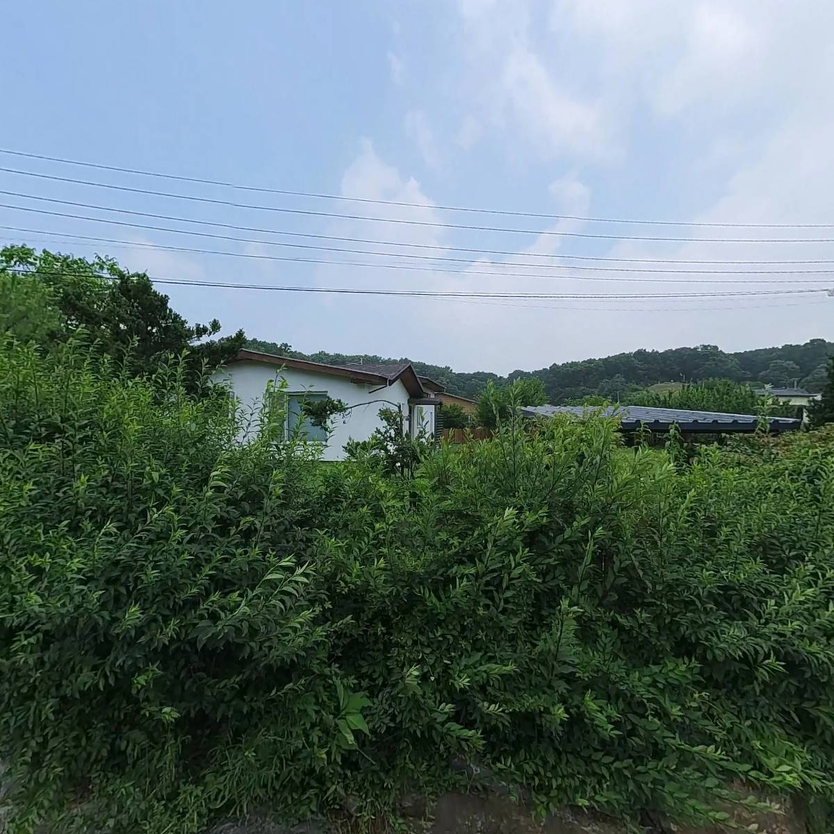 보담북스