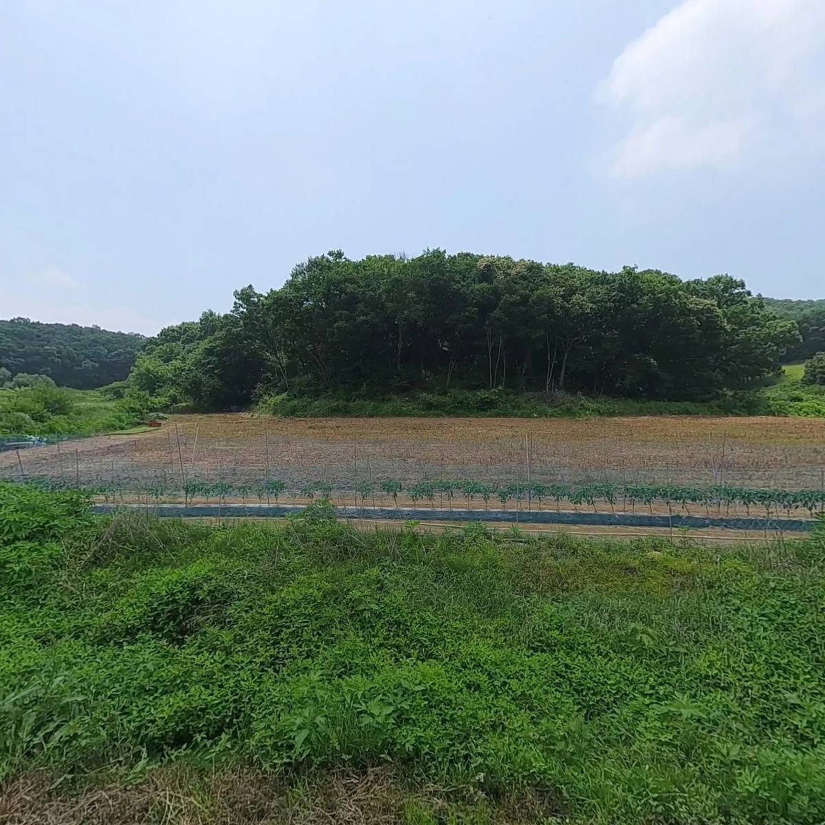 보담북스_3