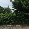 주식회사 에플_3