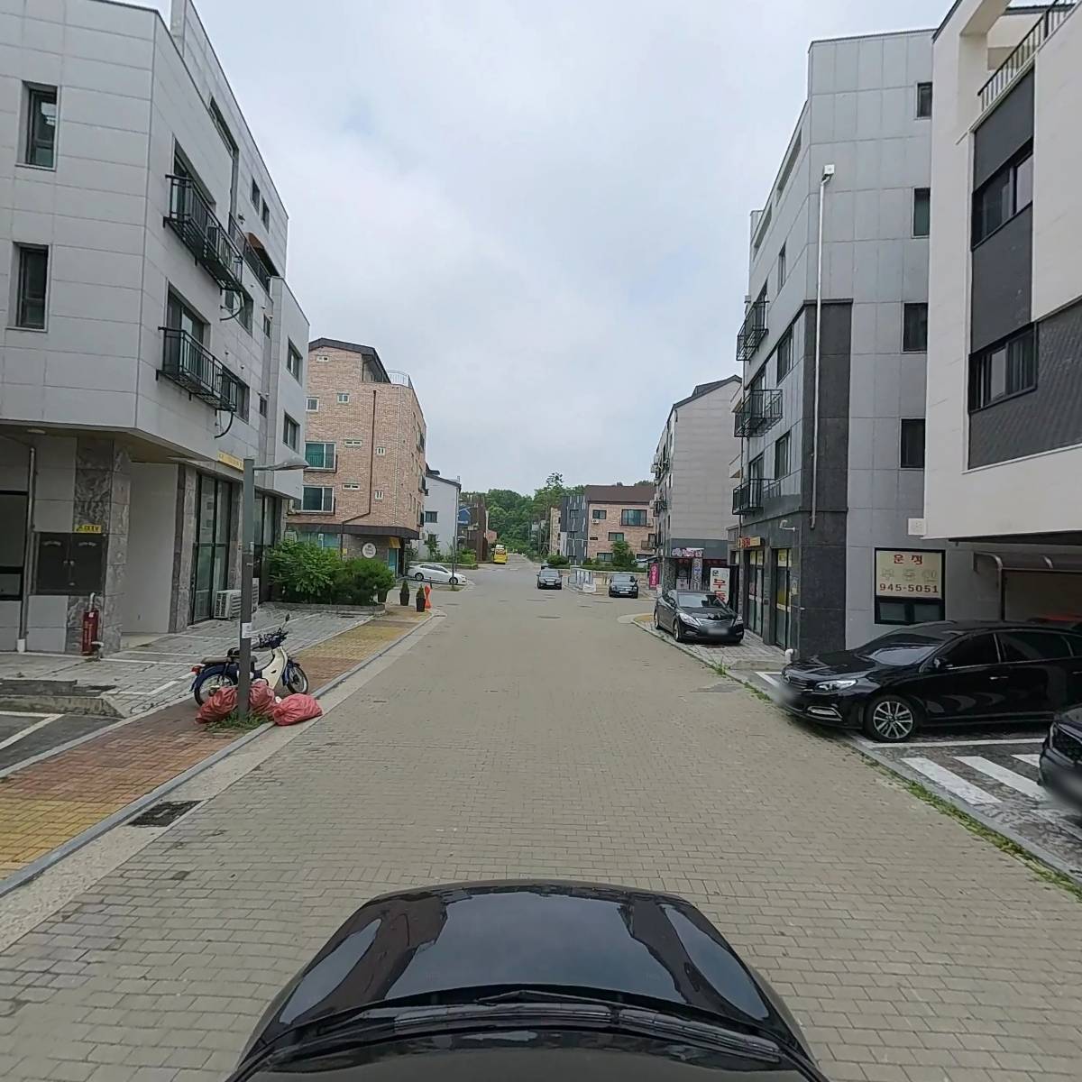 데이지무드_4