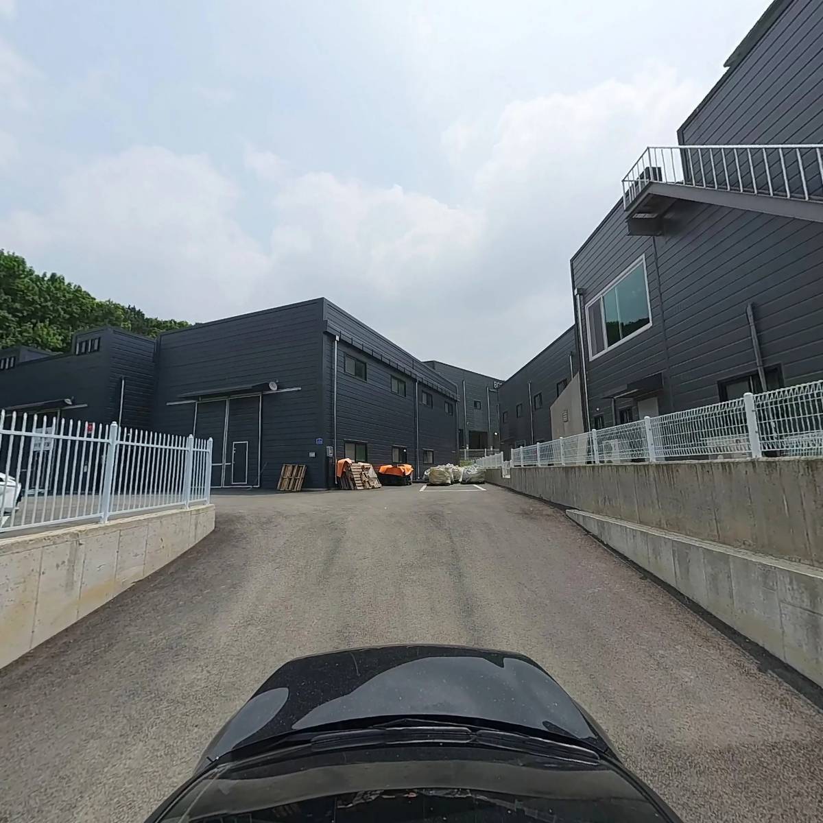 (주)보임 강아지월드지점_4