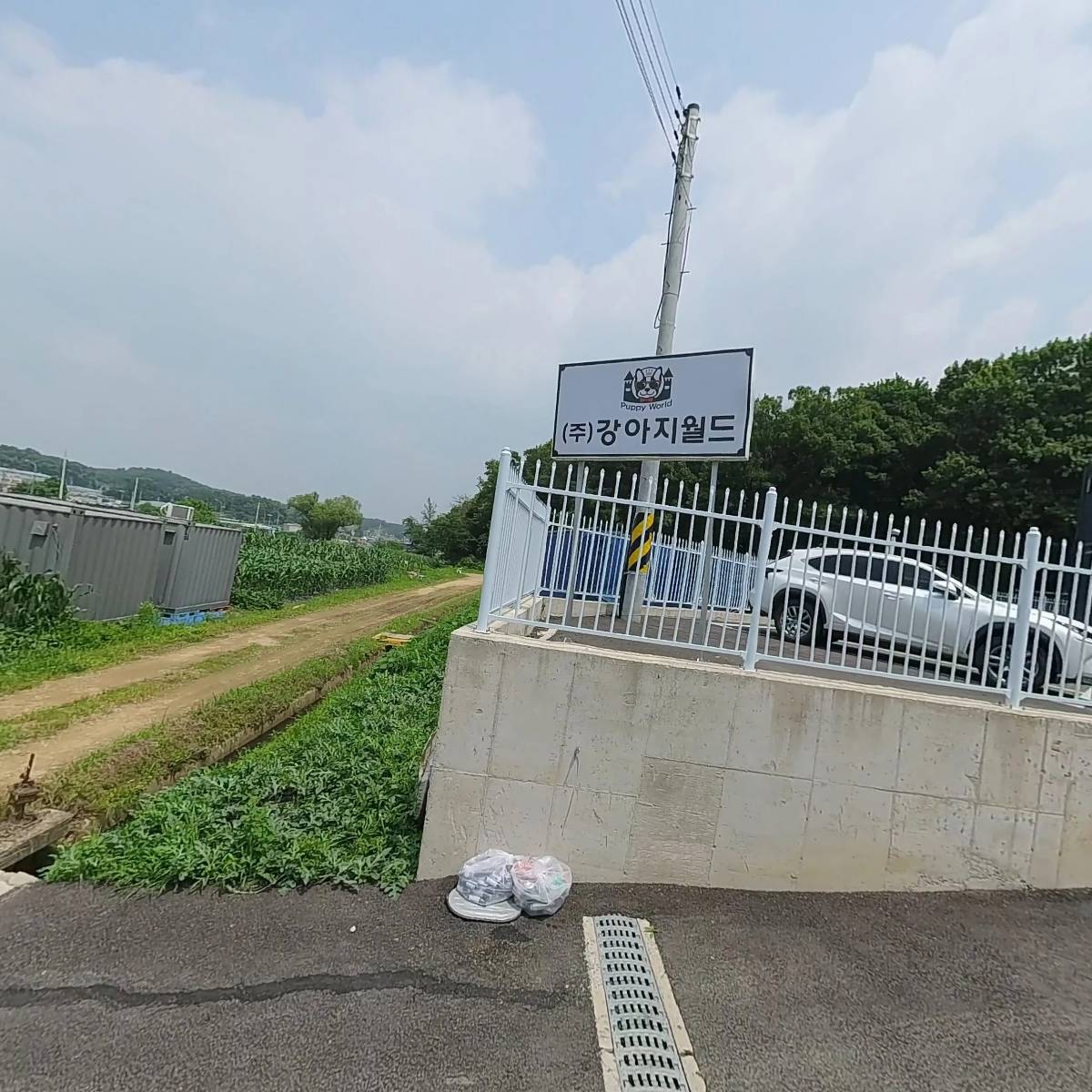 (주)보임 강아지월드지점_3