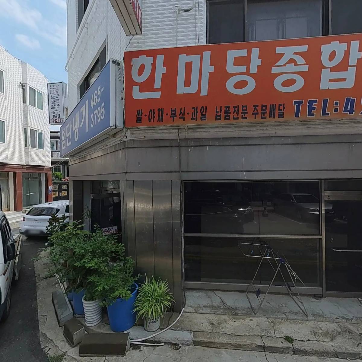 퀸즈 렙타일(Queen's Reptile)