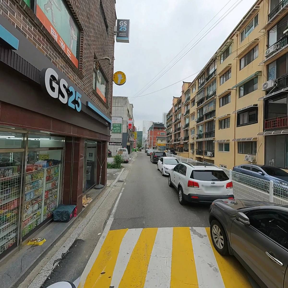 부티나 개_2