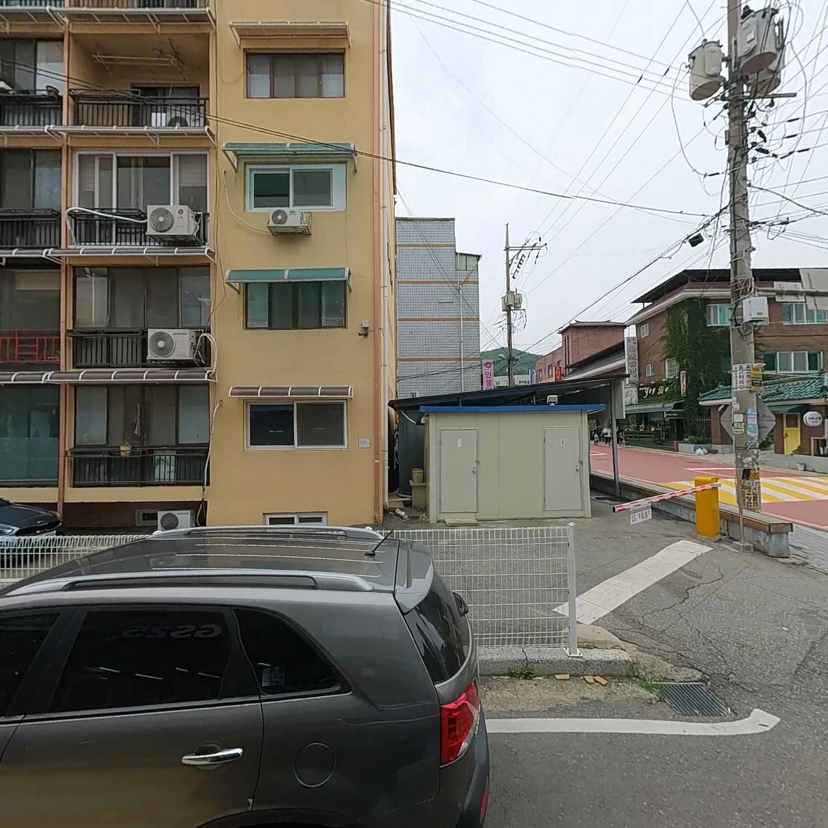 부티나 개_3