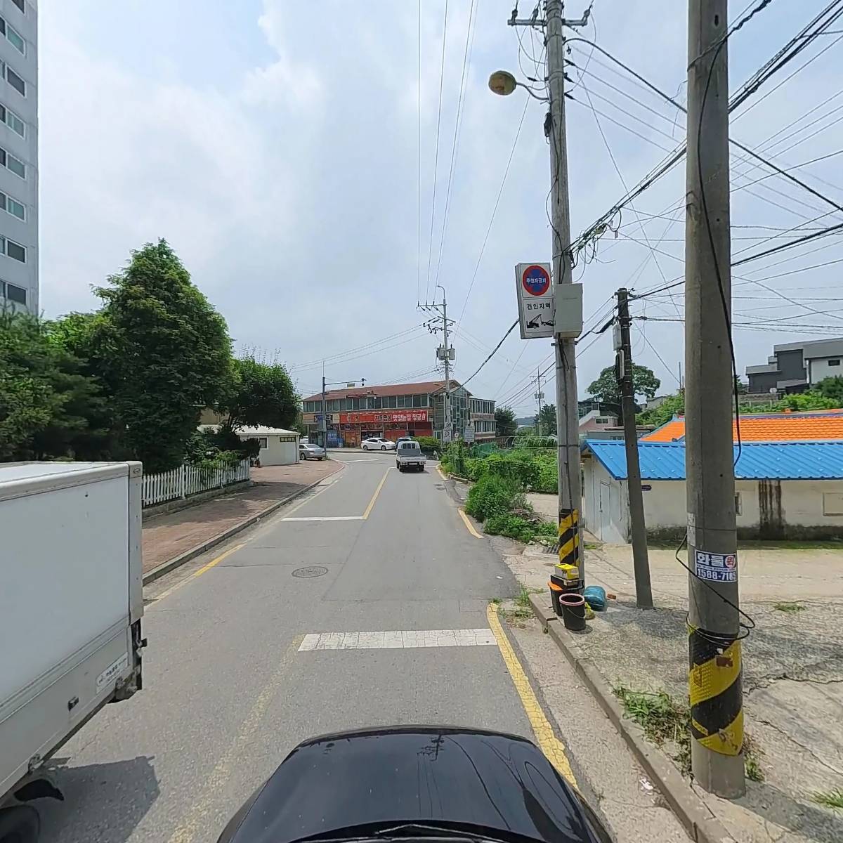 상어가족_4